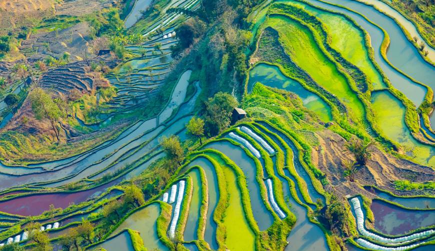 走进河北区TVC拍摄：解锁本地化场景与创意镜头的完美融合
